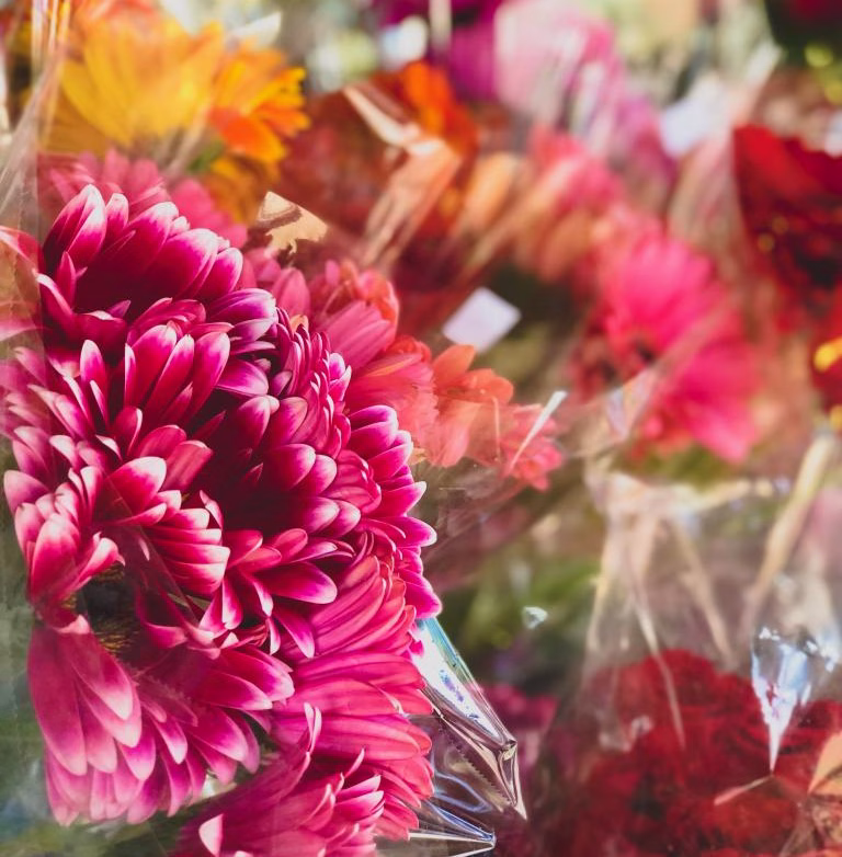 What To Do This Spring Around Vancouver